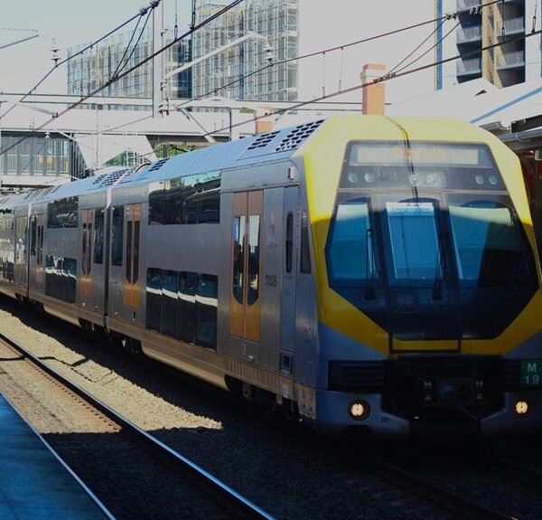 optimize online services now